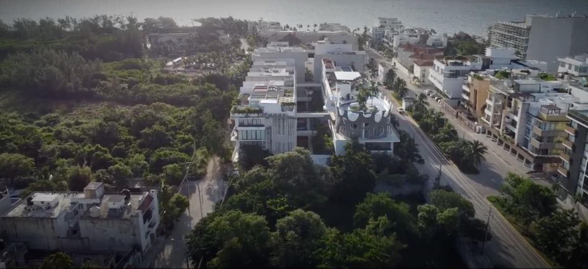 The Dock: the Cozumel crossing and downtown Playa del Carmen