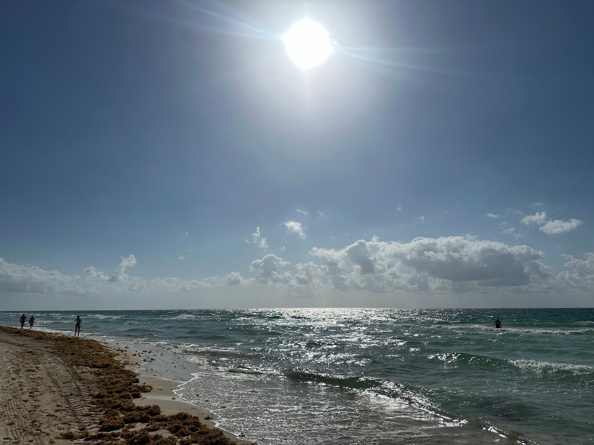 Sargassum Needs More Than Ideas: An Economy That Pays to Remove It